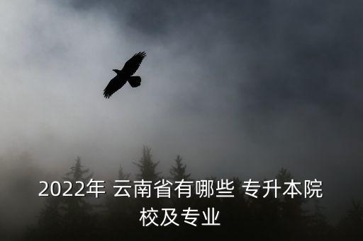 2022年 云南省有哪些 專升本院校及專業(yè)