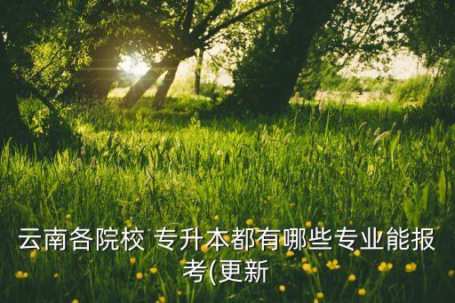 云南各院校 專升本都有哪些專業(yè)能報(bào)考(更新