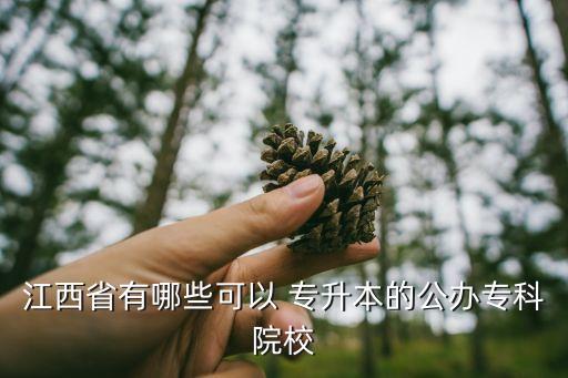 景德鎮(zhèn)陶瓷大學(xué)收專升本嗎