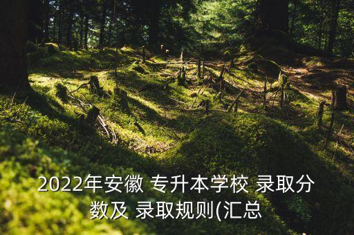 2022年安徽 專升本學校 錄取分數(shù)及 錄取規(guī)則(匯總