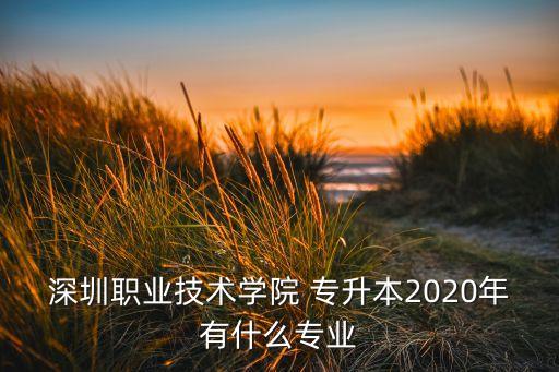 深圳職業(yè)技術(shù)學(xué)院 專升本2020年有什么專業(yè)