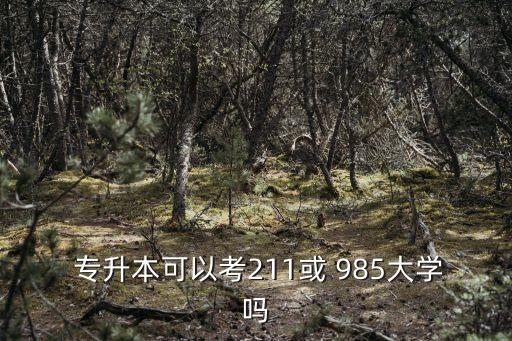  專升本可以考211或 985大學(xué)嗎