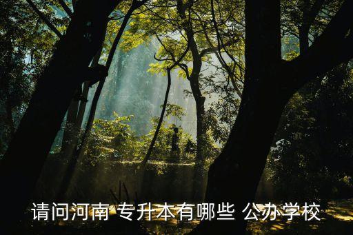 請問河南 專升本有哪些 公辦學(xué)校