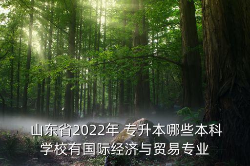  山東省2022年 專升本哪些本科學校有國際經濟與貿易專業(yè)