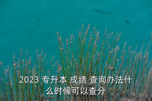 2023 專升本 成績 查詢辦法什么時候可以查分