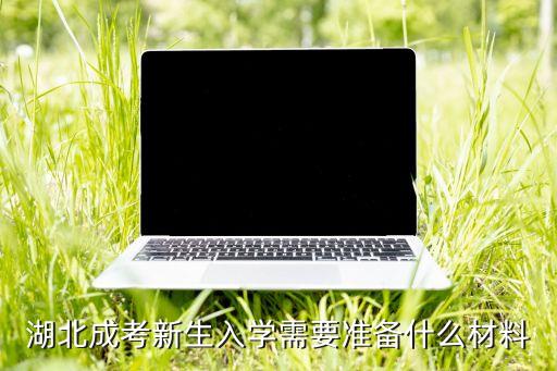 湖北成考新生入學(xué)需要準(zhǔn)備什么材料