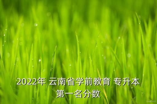 2022年 云南省學(xué)前教育 專升本第一名分?jǐn)?shù)