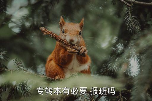 專轉(zhuǎn)本有必要 報(bào)班嗎