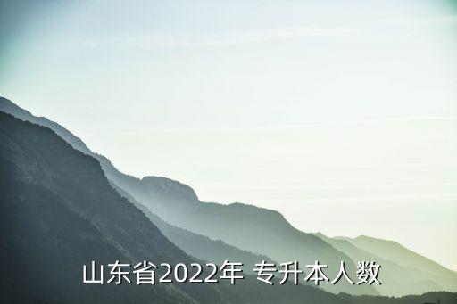  山東省2022年 專升本人數(shù)