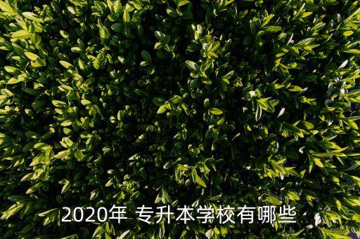 2020年 專升本學(xué)校有哪些