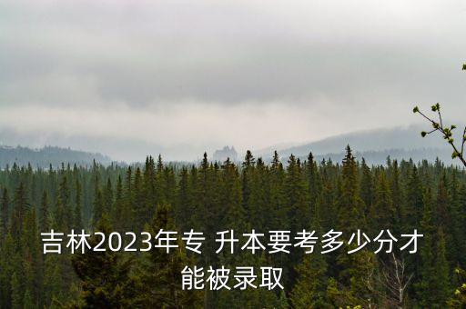 吉林2023年專 升本要考多少分才能被錄取