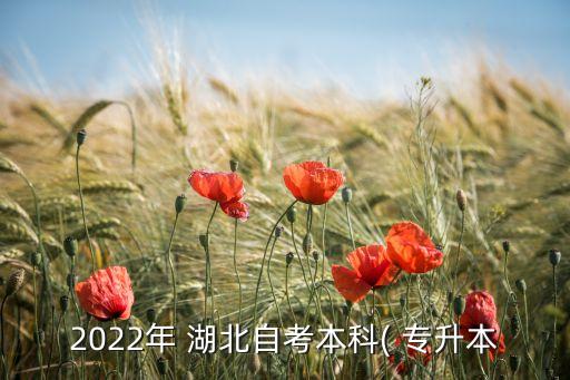 2022年 湖北自考本科( 專升本