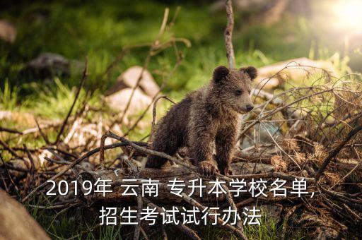 2019年 云南 專升本學(xué)校名單,招生考試試行辦法