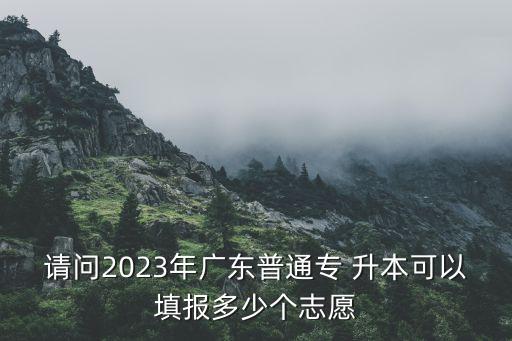 請(qǐng)問(wèn)2023年廣東普通專(zhuān) 升本可以填報(bào)多少個(gè)志愿