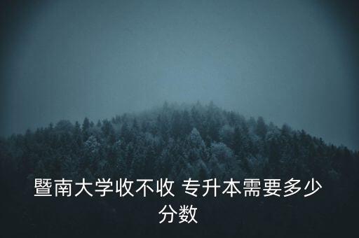 暨南大學成人專升本分數錄取線