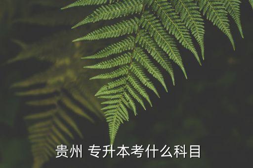  貴州 專(zhuān)升本考什么科目