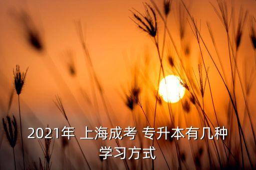 2021年 上海成考 專升本有幾種學(xué)習(xí)方式