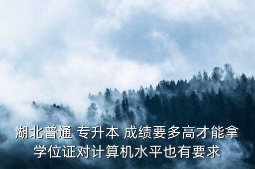 湖北普通 專升本 成績要多高才能拿學位證對計算機水平也有要求