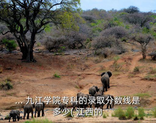 江西九江醫(yī)學院護理專升本,杭州醫(yī)學院護理專升本分數線