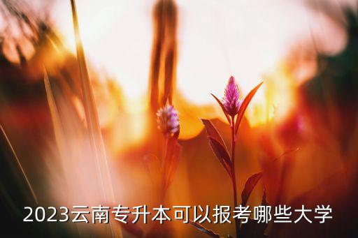 2023云南專升本可以報(bào)考哪些大學(xué)