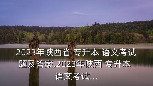 統(tǒng)招專升本語文真題,2020年重慶統(tǒng)招專升本語文真題及答案