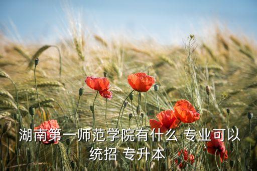  湖南第一師范學(xué)院有什么 專業(yè)可以統(tǒng)招 專升本