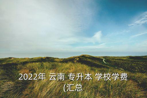 2022年 云南 專(zhuān)升本 學(xué)校學(xué)費(fèi)(匯總