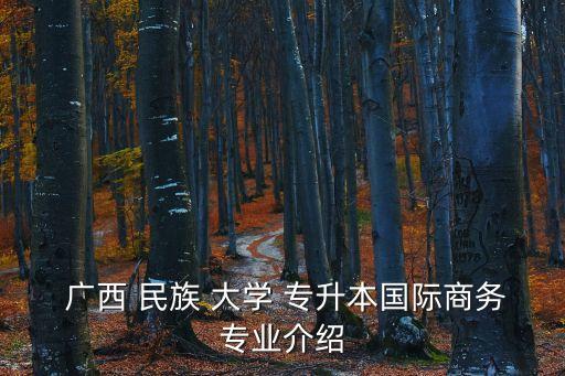 廣西民族大學專升本