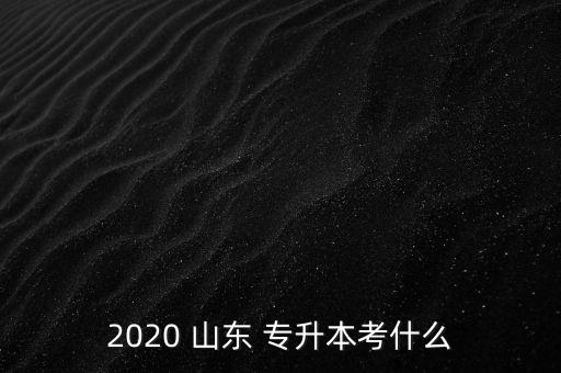 2020 山東 專(zhuān)升本考什么