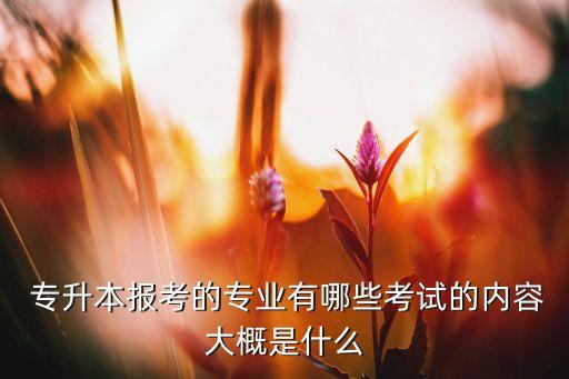  專升本報考的專業(yè)有哪些考試的內(nèi)容大概是什么