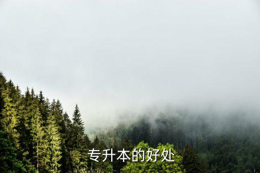 專升本的有利點,山東省大賽對專升本有利嗎