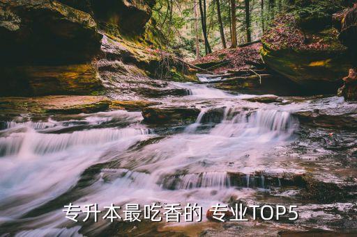  專升本最吃香的 專業(yè)TOP5