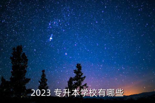 2023 專升本學(xué)校有哪些