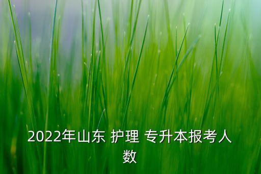 2022年山東 護理 專升本報考人數(shù)