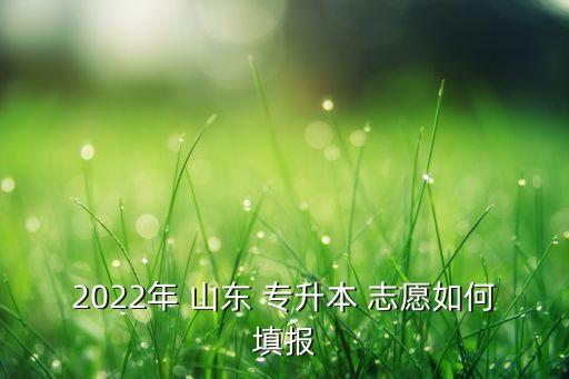 2022年 山東 專升本 志愿如何填報(bào)