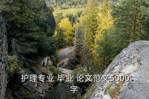  護理專業(yè) 畢業(yè) 論文范文5000字