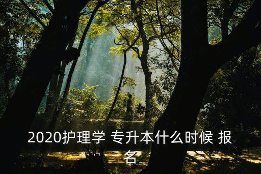 2020護(hù)理學(xué) 專升本什么時(shí)候 報(bào)名