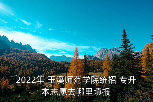 2022年 玉溪師范學(xué)院統(tǒng)招 專升本志愿去哪里填報