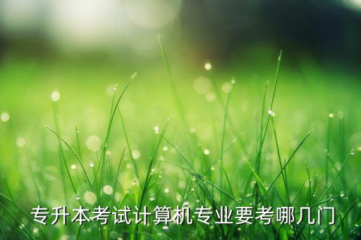 計科專升本的資料,福建專升本計科類考什么