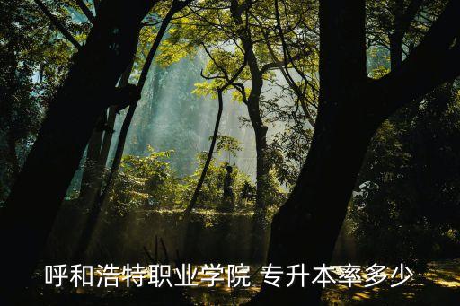 呼市能上專升本的學校,呼市專升本有哪些學校