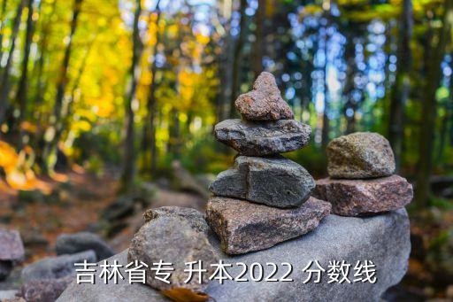 遼工大專升本分?jǐn)?shù)線,2020年遼工大專升本分?jǐn)?shù)線