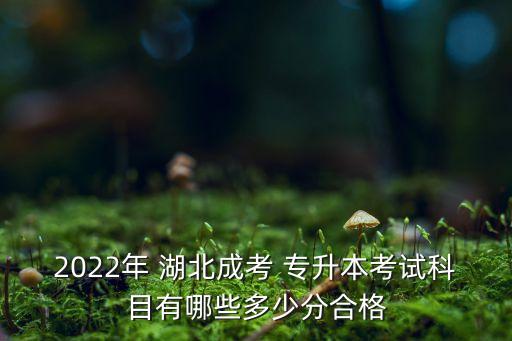 2022年 湖北成考 專升本考試科目有哪些多少分合格