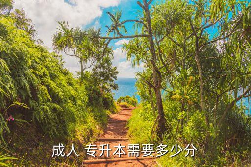 大連專升本成考44中,大連外國語成考專升本分?jǐn)?shù)線