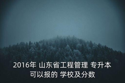 2016年 山東省工程管理 專升本可以報(bào)的 學(xué)校及分?jǐn)?shù)