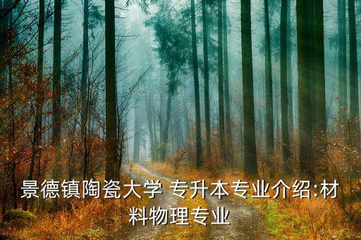 景德鎮(zhèn)陶瓷大學(xué) 專升本專業(yè)介紹:材料物理專業(yè)