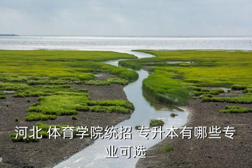 河北 體育學(xué)院統(tǒng)招 專升本有哪些專業(yè)可選