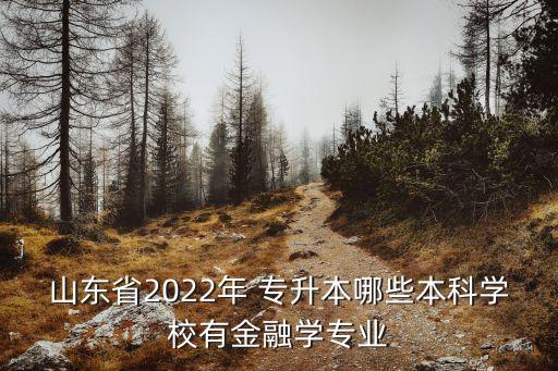 山東省2022年 專升本哪些本科學(xué)校有金融學(xué)專業(yè)