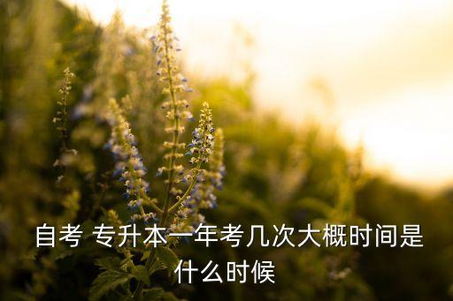 專升本自考本科時間,自考本科和學校專升本哪個好