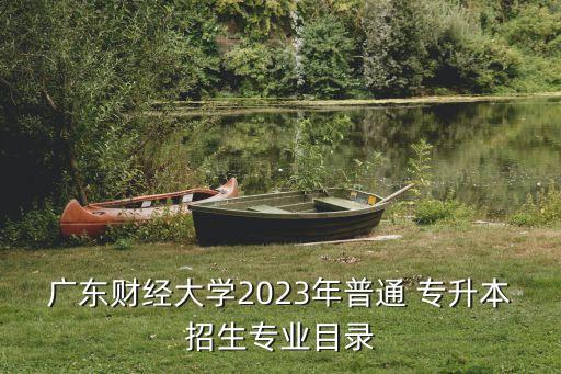 廣東財(cái)經(jīng)大學(xué)2023年普通 專升本招生專業(yè)目錄