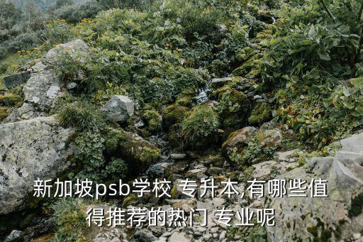 新加坡psb學(xué)校 專升本,有哪些值得推薦的熱門 專業(yè)呢